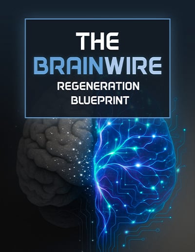 Audifort Bonus - The Brainwire Regeneration Blueprint